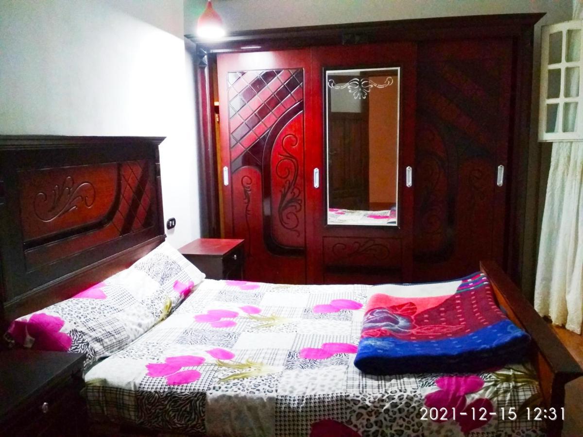 Nice House Alexandria Bagian luar foto